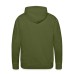 Men's Premium Hoodie Lion